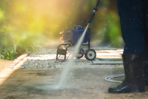 Pre-Holiday Cleaning in Sausalito, CA